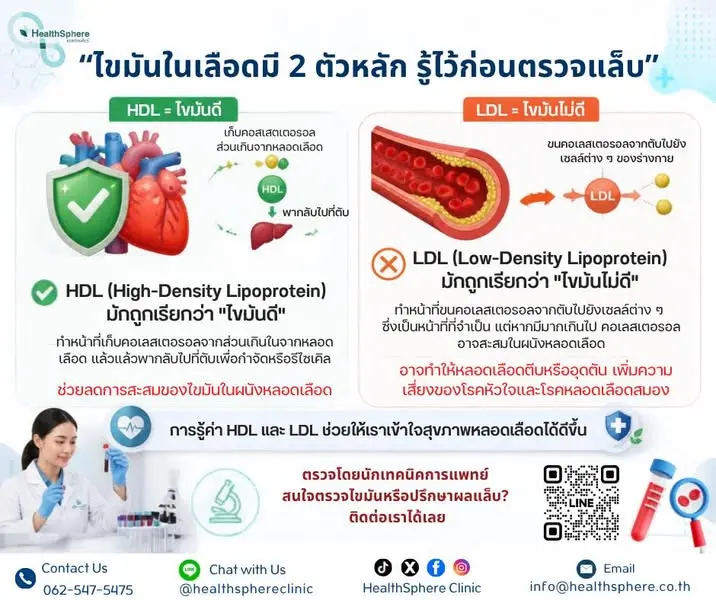 ไขมันดี HDL และไขมันไม่ดี LDL ต่างกันอย่างไร?